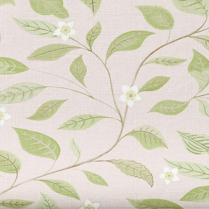 ELYSSE | NUDE