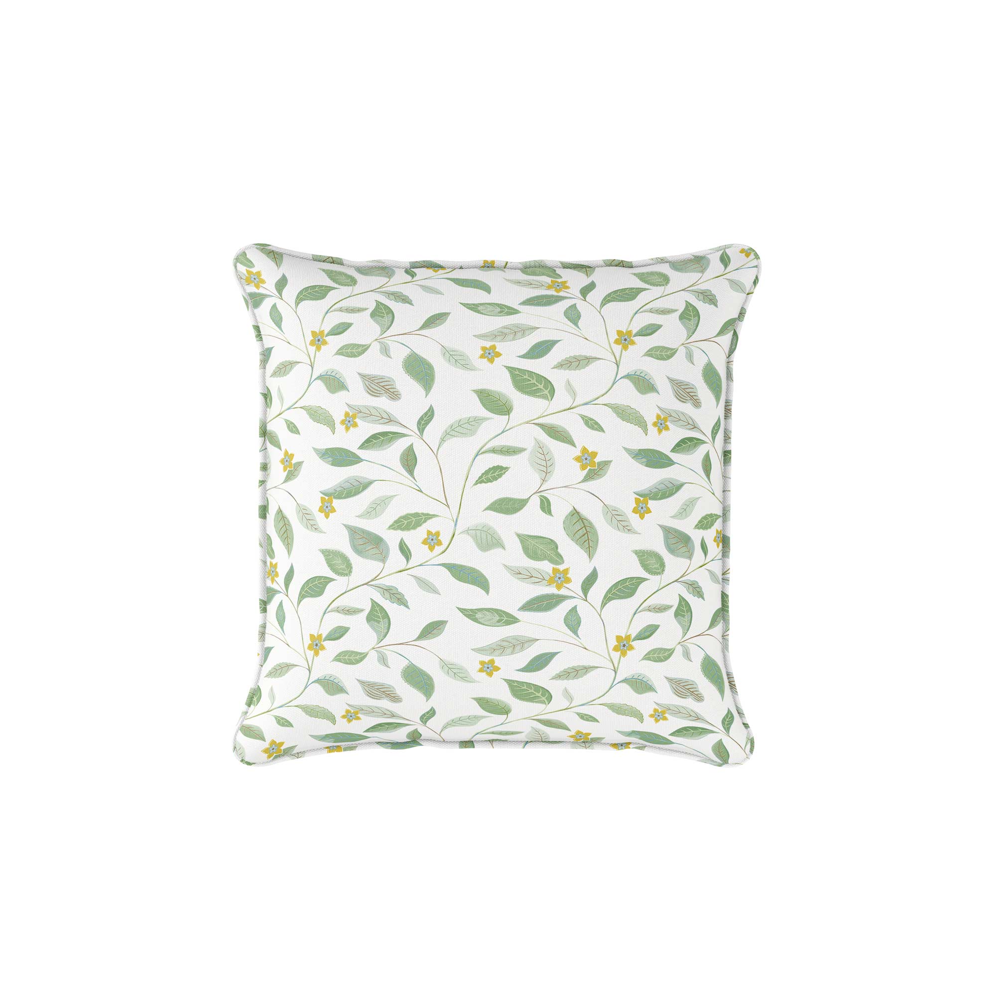 Vine_Flower_SP_Citrus.jpg